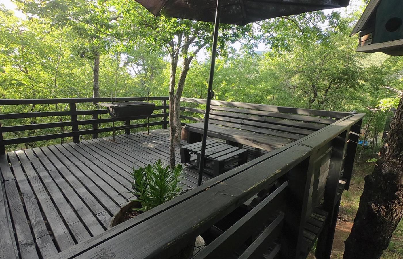 Chillán House Villa Las Trancas Ngoại thất bức ảnh