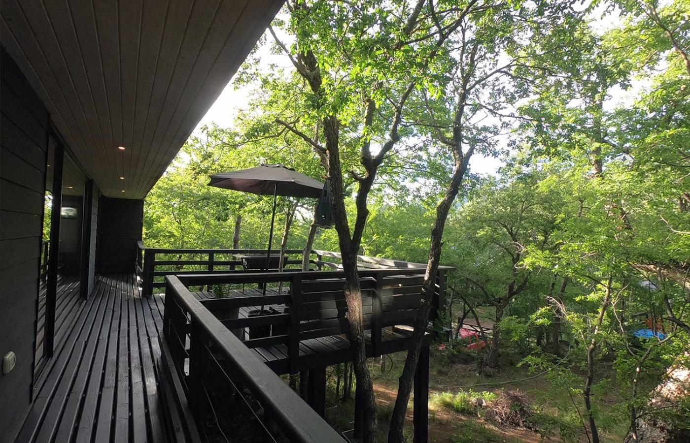 Chillán House Villa Las Trancas Ngoại thất bức ảnh